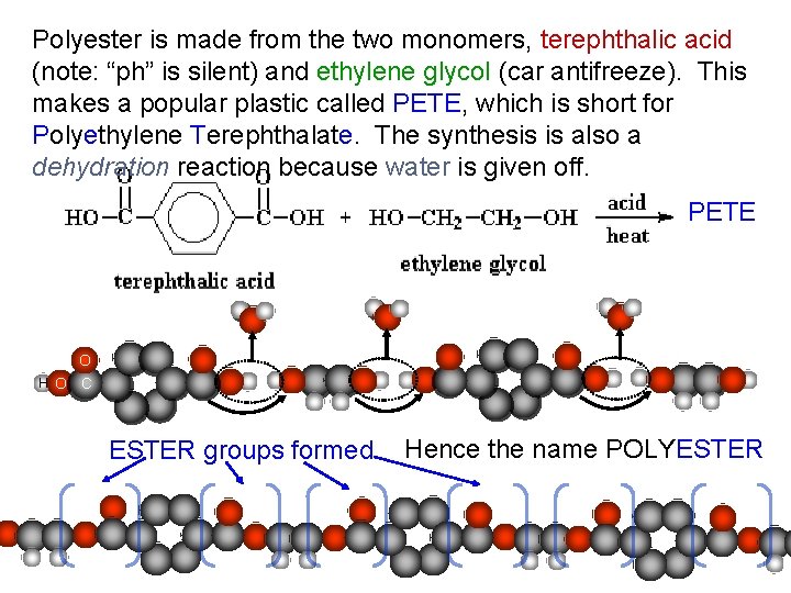 Polyester is made from the two monomers, terephthalic acid (note: “ph” is silent) and