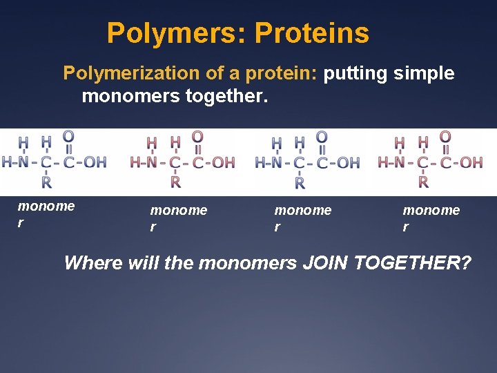 Polymers: Proteins Polymerization of a protein: putting simple monomers together. monome r Where will