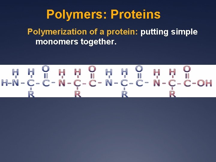 Polymers: Proteins Polymerization of a protein: putting simple monomers together. 