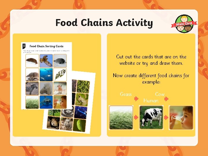 Food Chains Activity Cut out the cards that are on the website or try