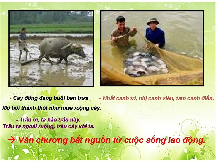 - Cày đồng đang buổi ban trưa - Nhất canh trì, nhị canh viên,