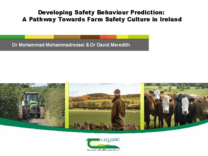 Developing Safety Behaviour Prediction: A Pathway Towards Farm Safety Culture in Ireland Dr Mohammadrezaei
