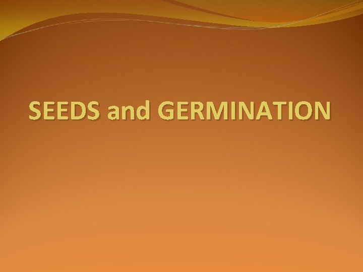 SEEDS and GERMINATION 