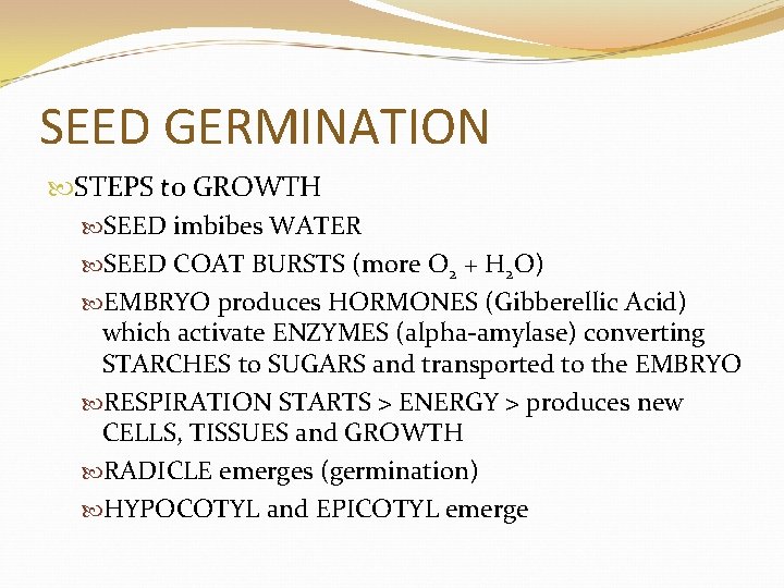 SEED GERMINATION STEPS to GROWTH SEED imbibes WATER SEED COAT BURSTS (more O 2