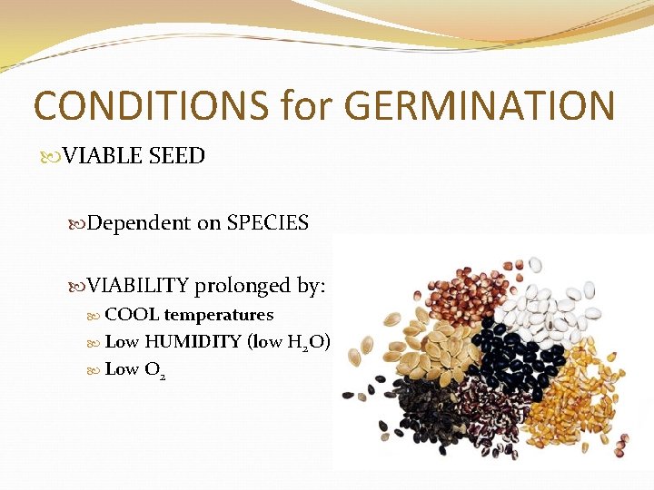 CONDITIONS for GERMINATION VIABLE SEED Dependent on SPECIES VIABILITY prolonged by: COOL temperatures Low