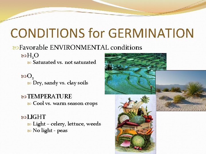 CONDITIONS for GERMINATION Favorable ENVIRONMENTAL conditions H 2 O Saturated vs. not saturated O