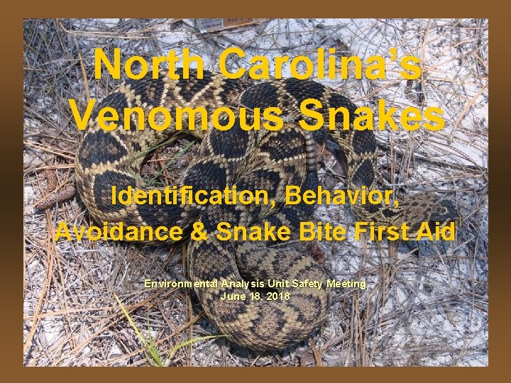 North Carolina’s Venomous Snakes Identification, Behavior, Avoidance & Snake Bite First Aid Environmental Analysis