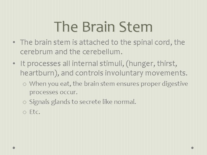 The Brain Stem • The brain stem is attached to the spinal cord, the
