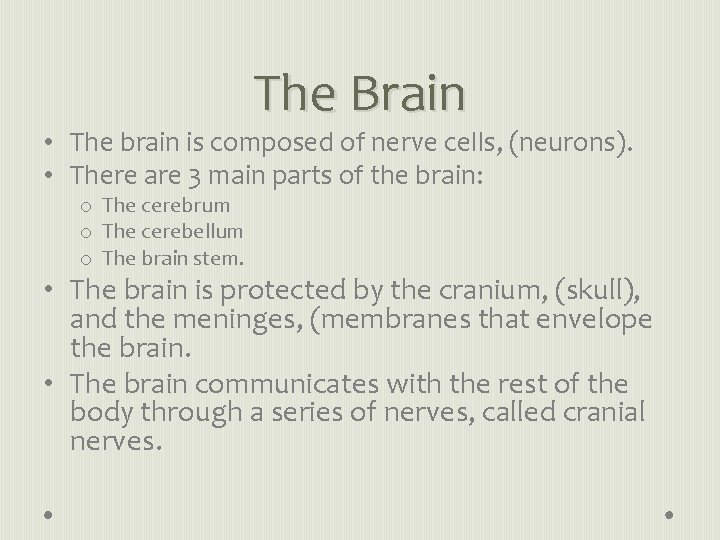 The Brain • The brain is composed of nerve cells, (neurons). • There are