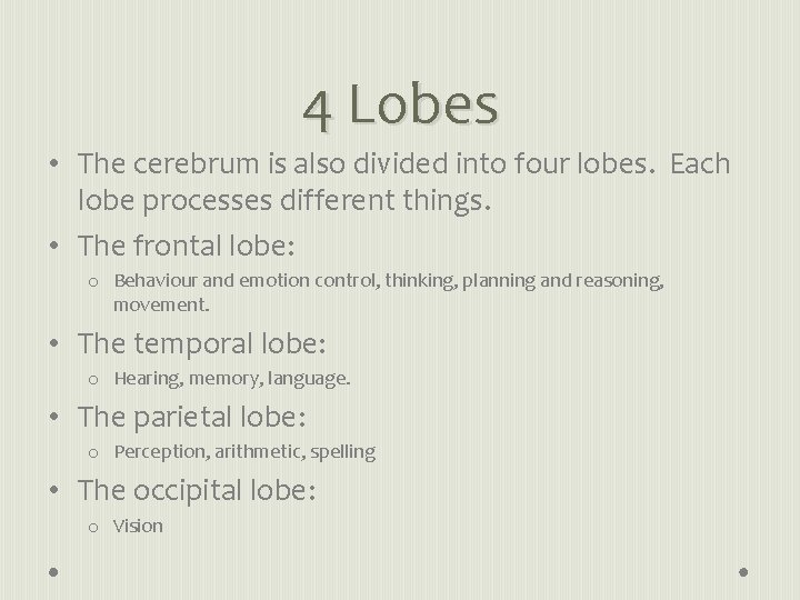 4 Lobes • The cerebrum is also divided into four lobes. Each lobe processes