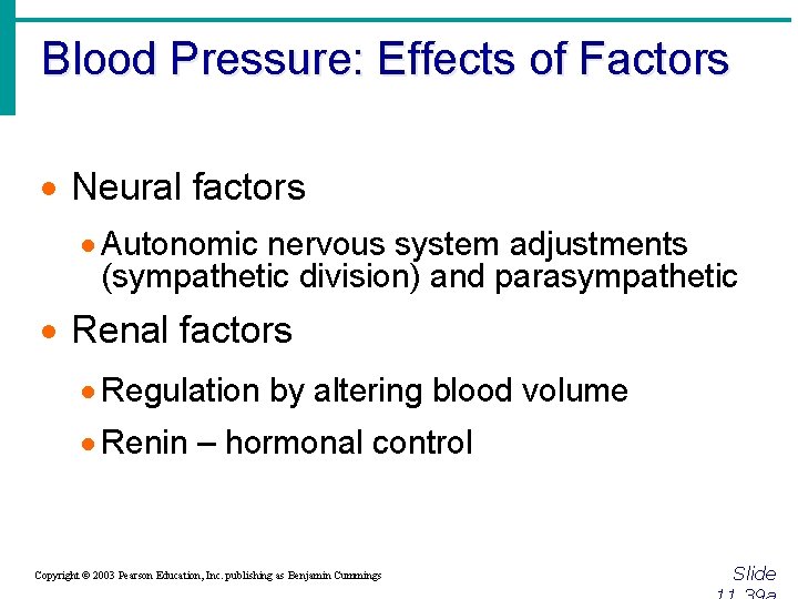 Blood Pressure: Effects of Factors · Neural factors · Autonomic nervous system adjustments (sympathetic