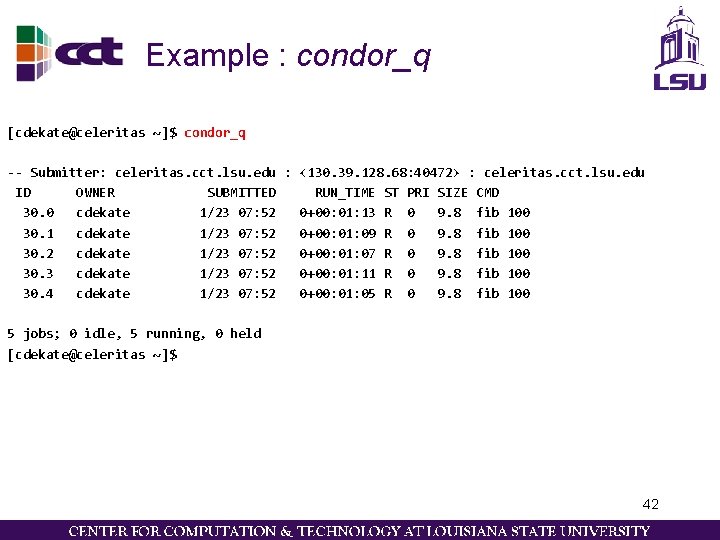 Example : condor_q [cdekate@celeritas ~]$ condor_q -- Submitter: celeritas. cct. lsu. edu : <130.