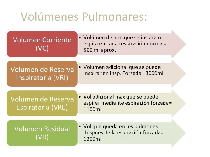 Volúmenes Pulmonares: Volumen Corriente (VC) • Volúmen de aire que se inspira o espira