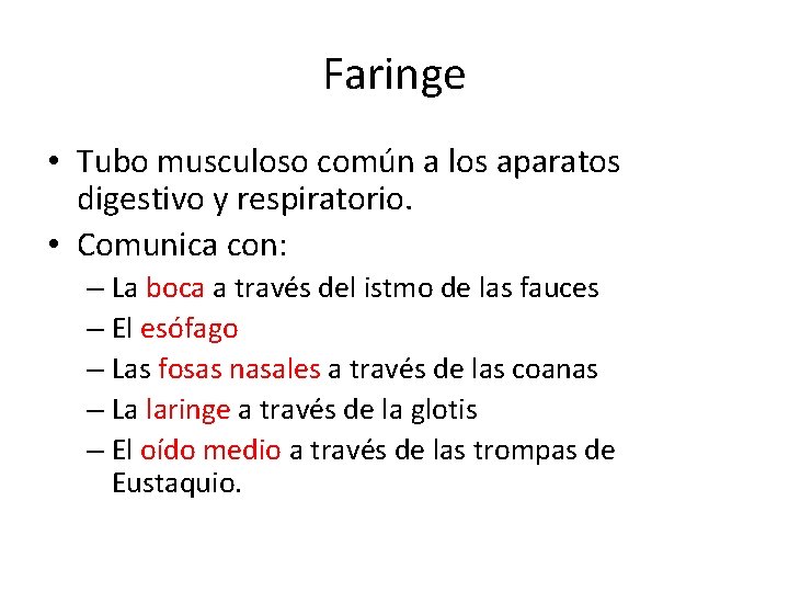 Faringe • Tubo musculoso común a los aparatos digestivo y respiratorio. • Comunica con: