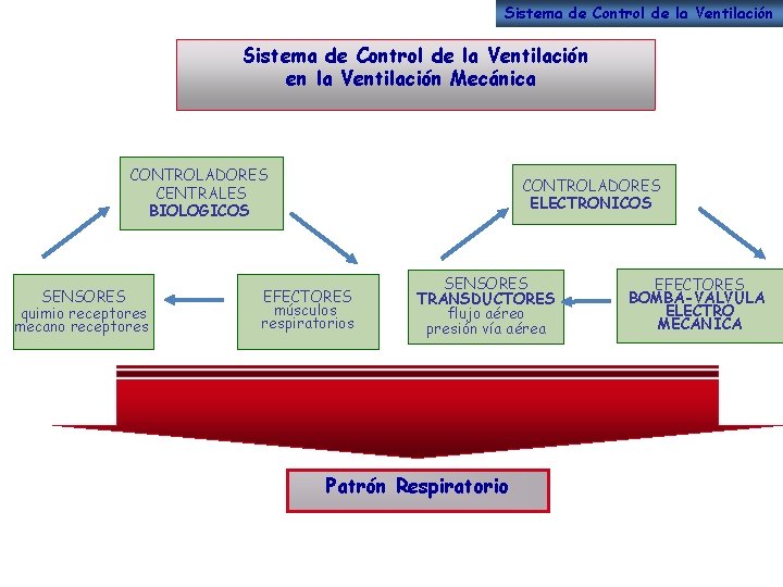 Sistema de Control de la Ventilación en la Ventilación Mecánica CONTROLADORES CENTRALES BIOLOGICOS SENSORES