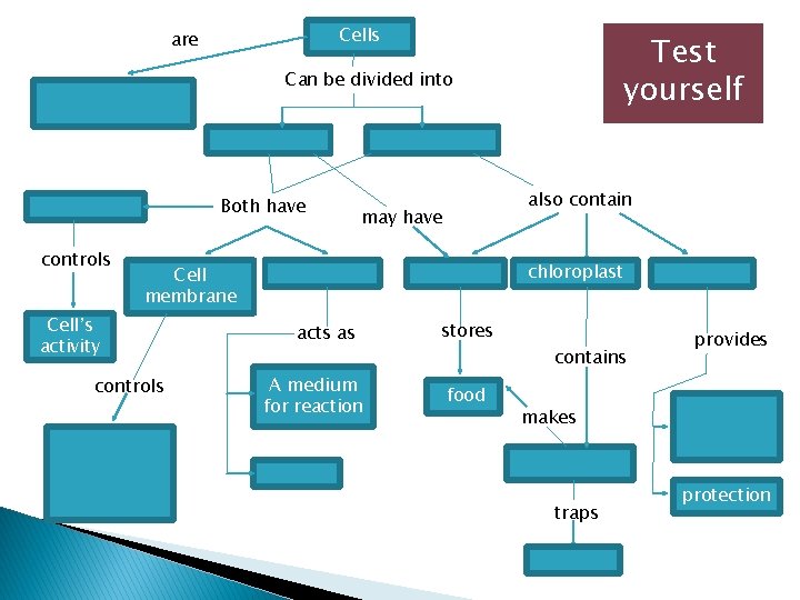 Cells are Test yourself Can be divided into Both have controls also contain may Cells are Test yourself Can be divided into Both have controls also contain may