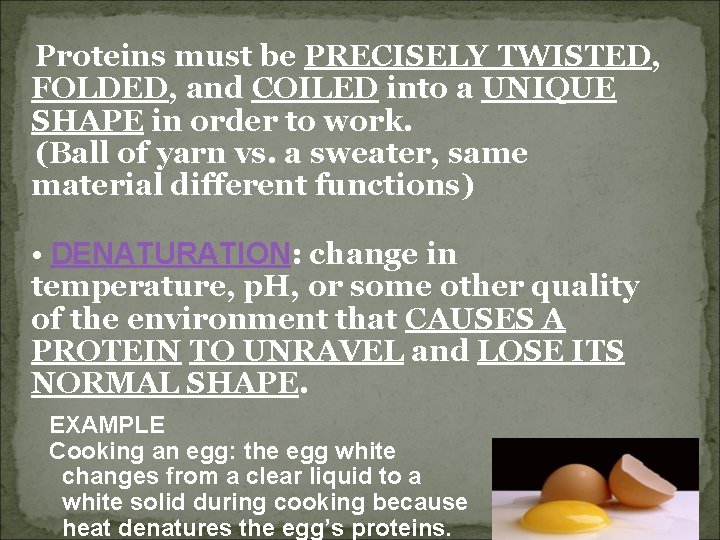 Proteins must be PRECISELY TWISTED, FOLDED, and COILED into a UNIQUE SHAPE in order