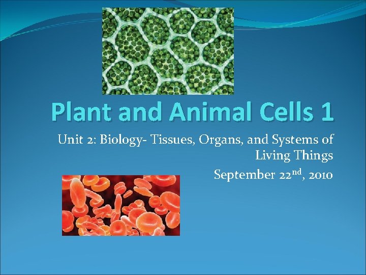 Plant and Animal Cells 1 Unit 2: Biology- Tissues, Organs, and Systems of Living