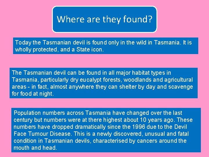 Where are they found? Today the Tasmanian devil is found only in the wild