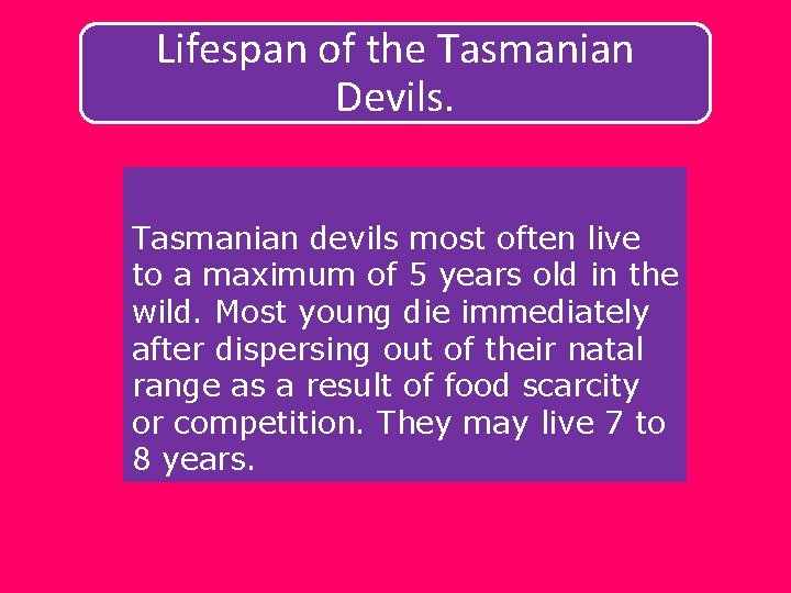 Lifespan of the Tasmanian Devils. Tasmanian devils most often live to a maximum of
