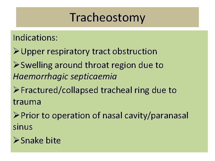 Tracheostomy Indications: ØUpper respiratory tract obstruction ØSwelling around throat region due to Haemorrhagic septicaemia