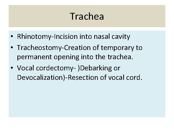 Trachea • Rhinotomy-Incision into nasal cavity • Tracheostomy-Creation of temporary to permanent opening into