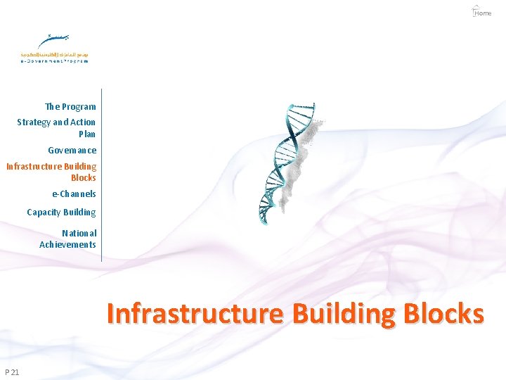 Home The Program Strategy and Action Plan Governance Infrastructure Building Blocks e-Channels Capacity Building