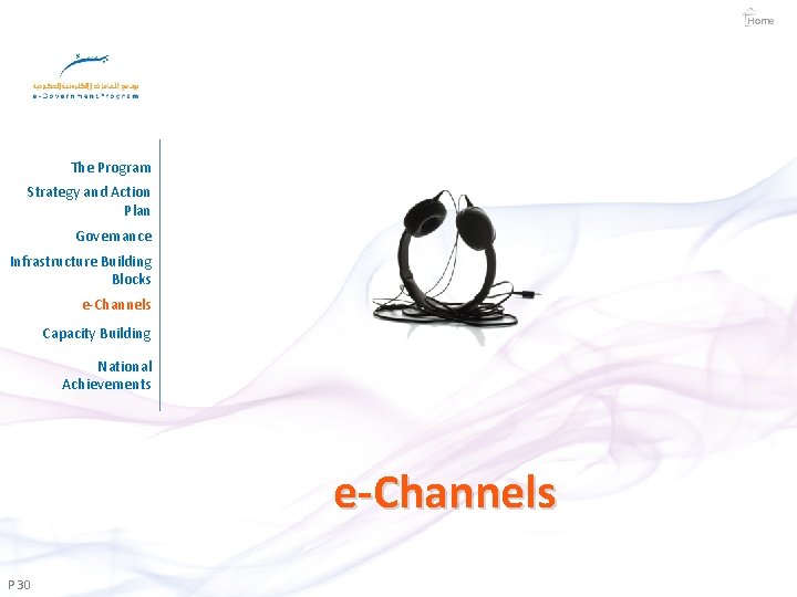 Home The Program Strategy and Action Plan Governance Infrastructure Building Blocks e-Channels Capacity Building