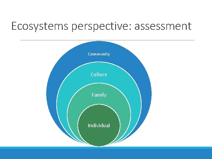 Ecosystems perspective: assessment Community Culture Family Individual 