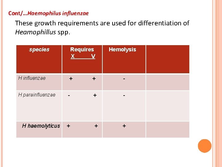 Cont/…Haemophilus influenzae These growth requirements are used for differentiation of Heamophillus spp. species Requires