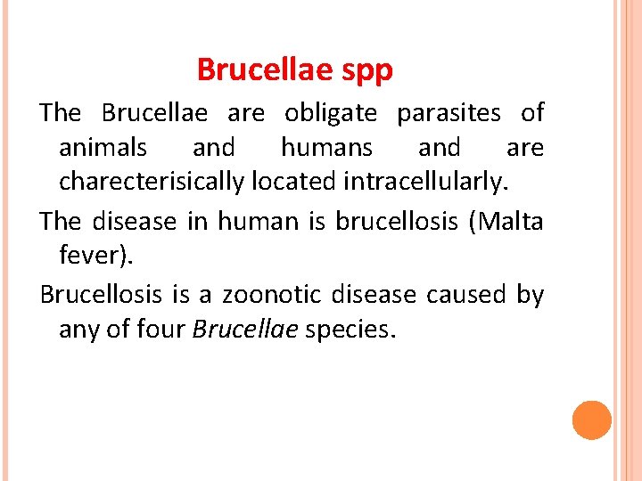 Brucellae spp The Brucellae are obligate parasites of animals and humans and are charecterisically