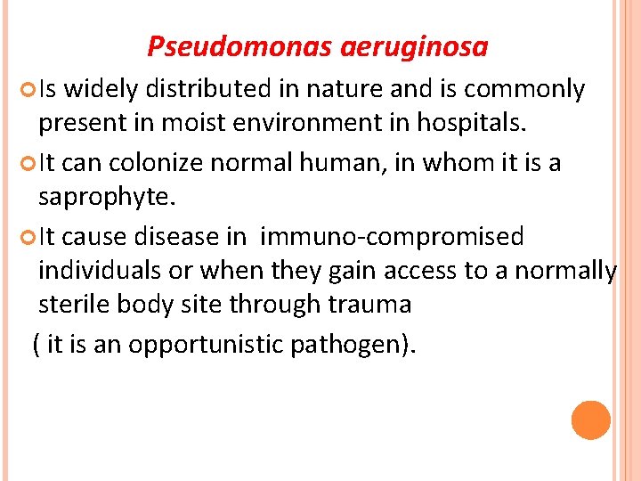 Pseudomonas aeruginosa Is widely distributed in nature and is commonly present in moist environment