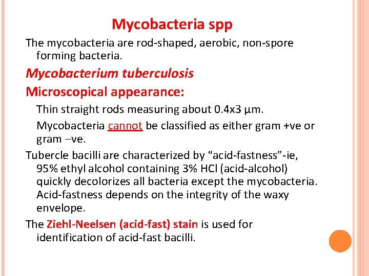 Mycobacteria spp The mycobacteria are rod-shaped, aerobic, non-spore forming bacteria. Mycobacterium tuberculosis Microscopical appearance: