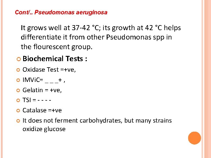 Cont/. . Pseudomonas aeruginosa It grows well at 37 -42 °C; its growth at