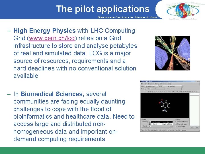 The pilot applications Plateforme de Calcul pour les Sciences du Vivant – High Energy