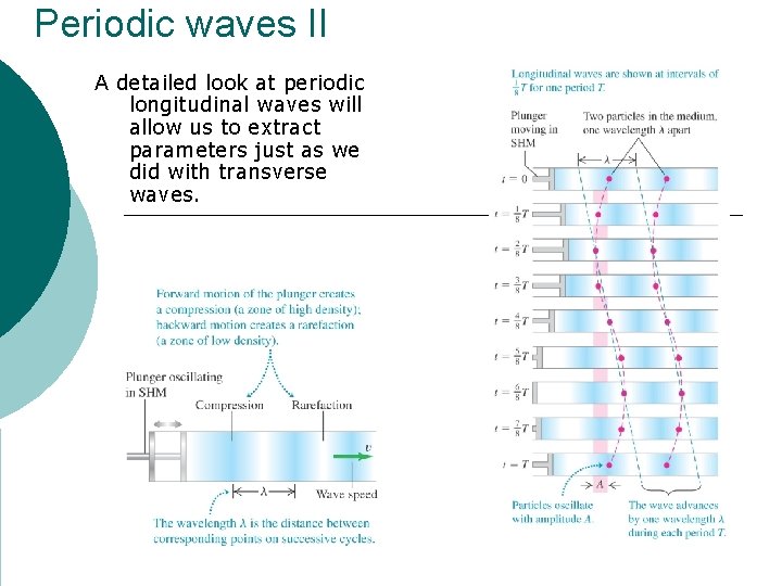 Periodic waves II A detailed look at periodic longitudinal waves will allow us to