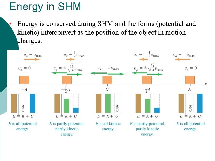 Energy in SHM • Energy is conserved during SHM and the forms (potential and