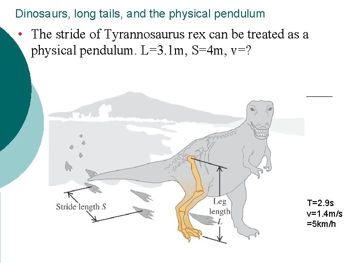 Dinosaurs, long tails, and the physical pendulum • The stride of Tyrannosaurus rex can