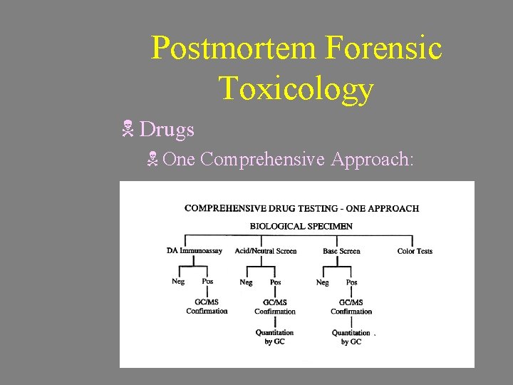 Postmortem Forensic Toxicology N Drugs N One Comprehensive Approach: 