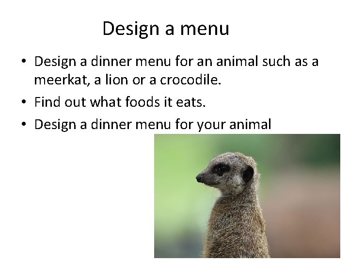 Design a menu • Design a dinner menu for an animal such as a