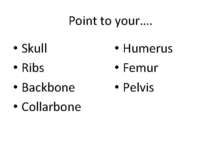 Point to your…. • Skull • Ribs • Backbone • Collarbone • Humerus •