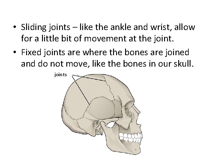  • Sliding joints – like the ankle and wrist, allow for a little