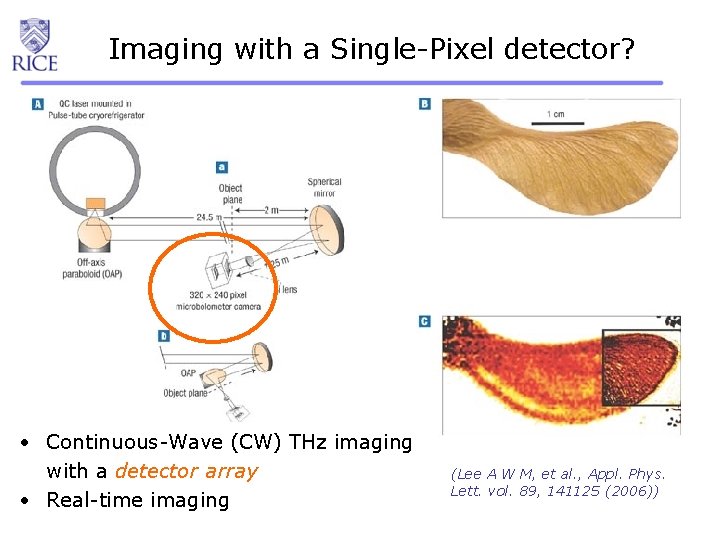 Imaging with a Single-Pixel detector? • Continuous-Wave (CW) THz imaging with a detector array