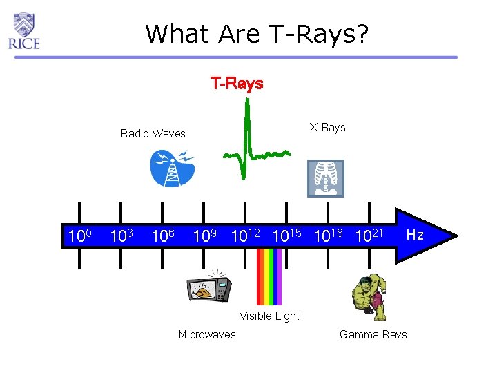 What Are T-Rays? T-Rays X-Rays Radio Waves 100 103 106 109 1012 1015 1018