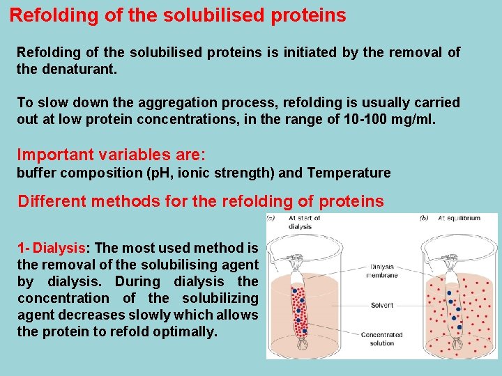 Refolding of the solubilised proteins is initiated by the removal of the denaturant. To