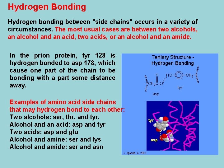 Hydrogen Bonding Hydrogen bonding between "side chains" occurs in a variety of circumstances. The