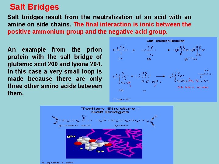 Salt Bridges Salt bridges result from the neutralization of an acid with an amine