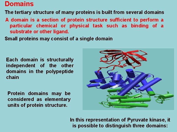 Domains The tertiary structure of many proteins is built from several domains A domain