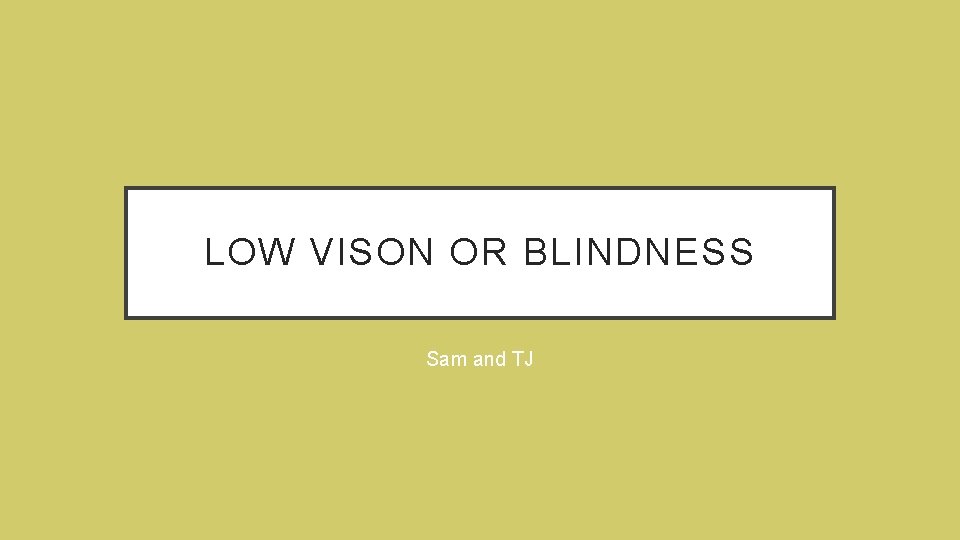 LOW VISON OR BLINDNESS Sam and TJ 