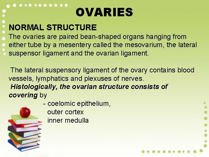 OVARIES NORMAL STRUCTURE The ovaries are paired bean-shaped organs hanging from either tube by